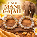 GELANG FOSIL MANI GAJAH 2 ALAM