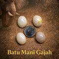 BATU PERMATA FOSSIL MANI GAJAH